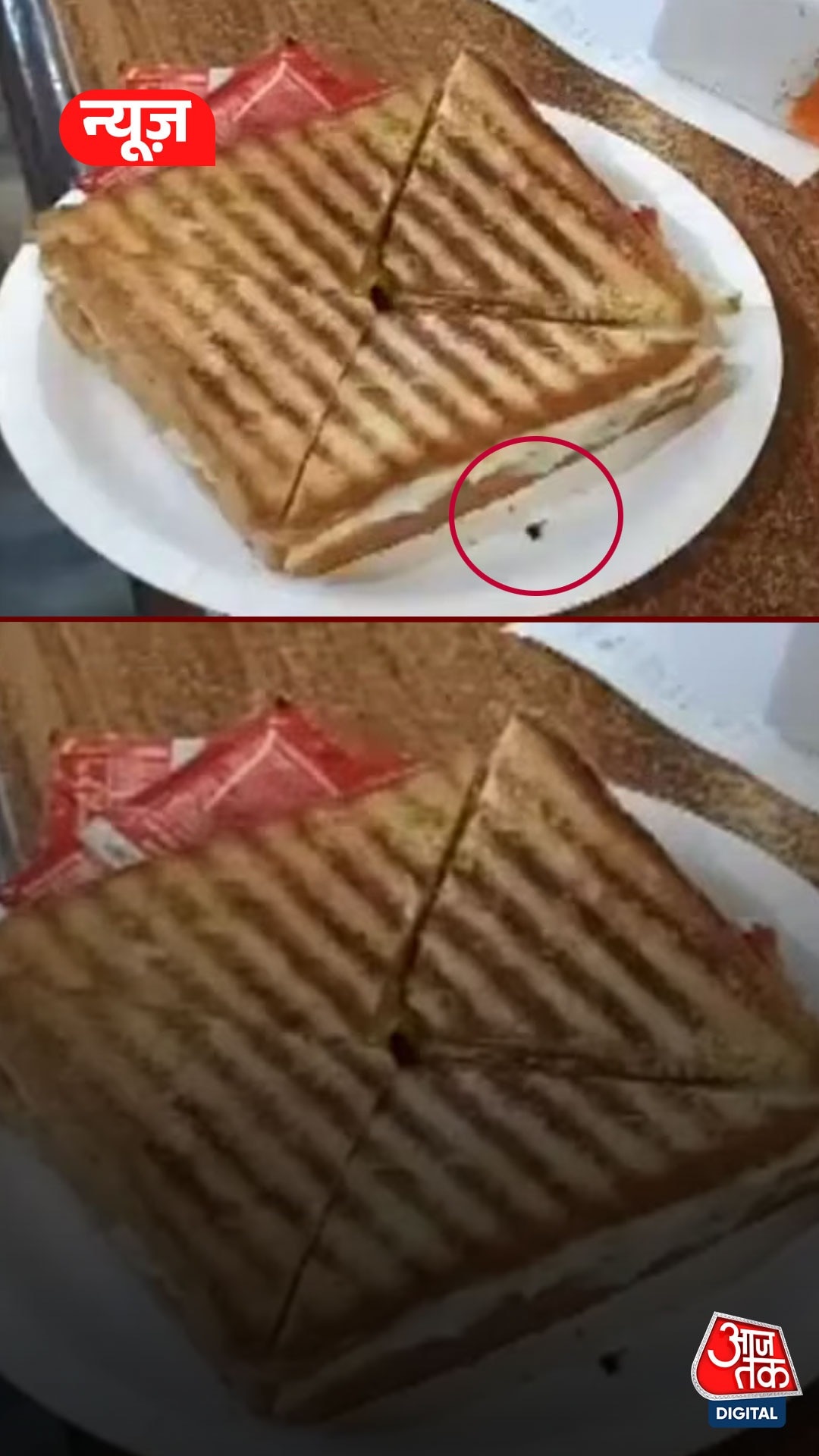 Dead fly in sandwich