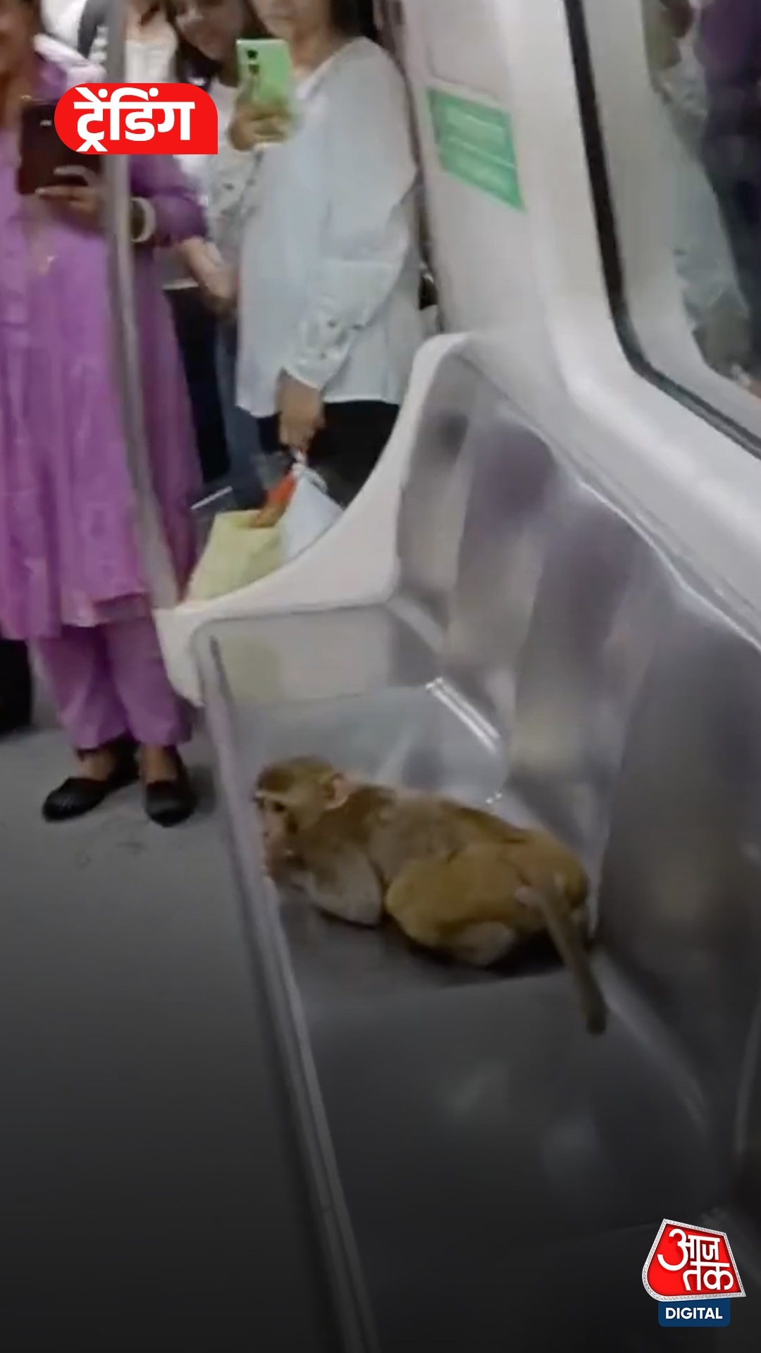 Monkey enters Delhi Metro