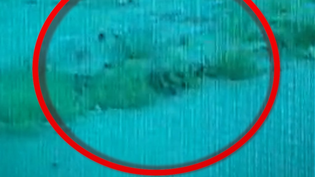Delhi Rain: 7 साल के मासूम की डूबने से मौत