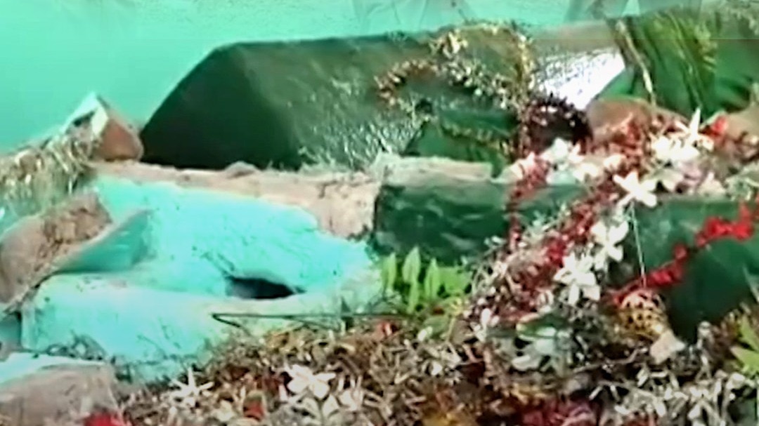 kaushambi dargah conversion