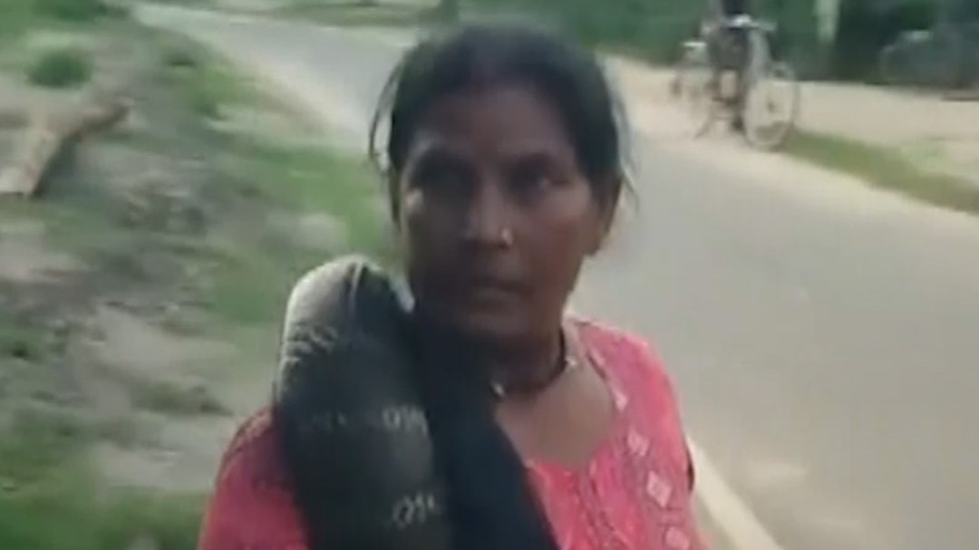 king cobra rescue bagaha