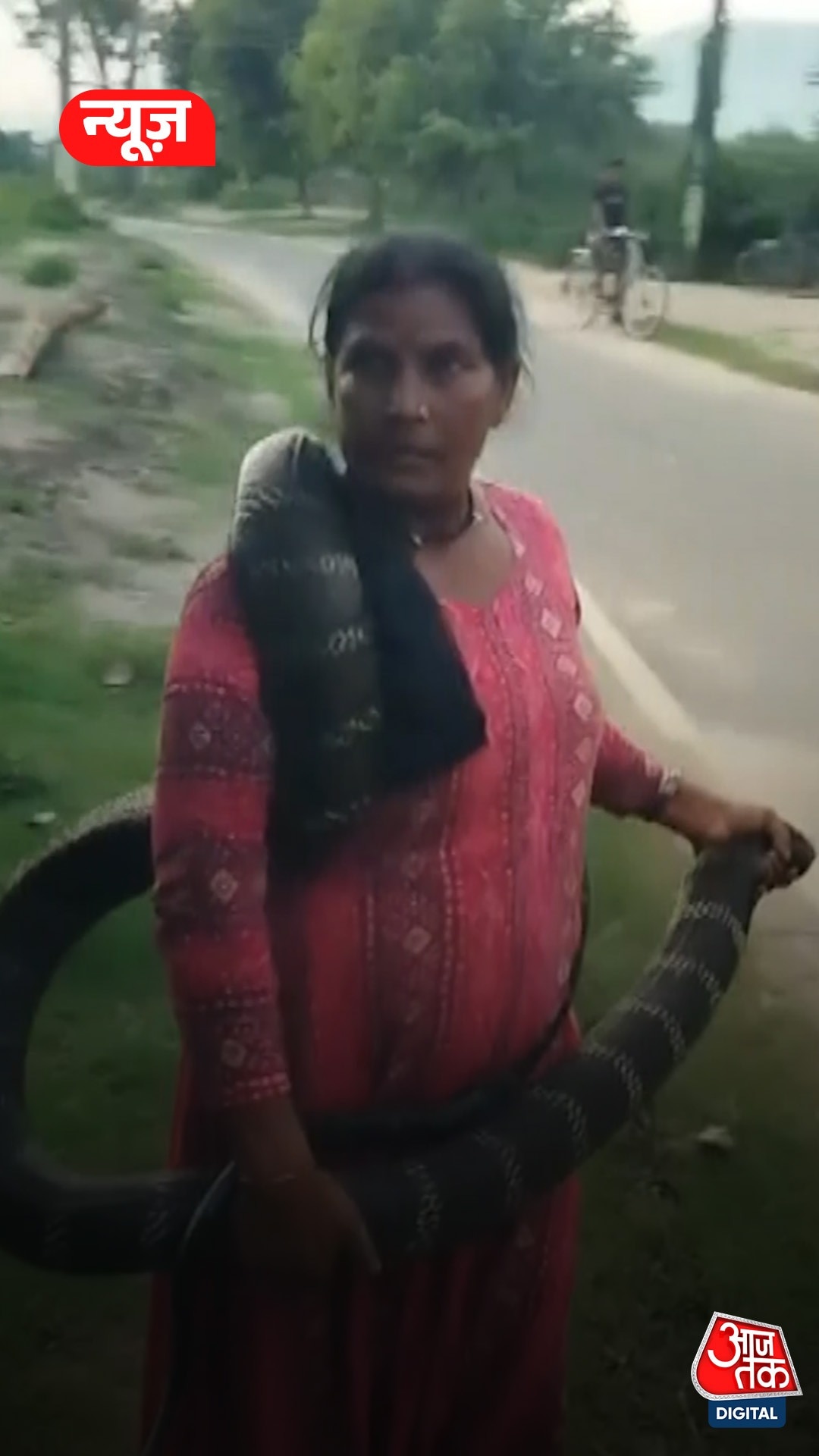 king cobra rescue bagaha