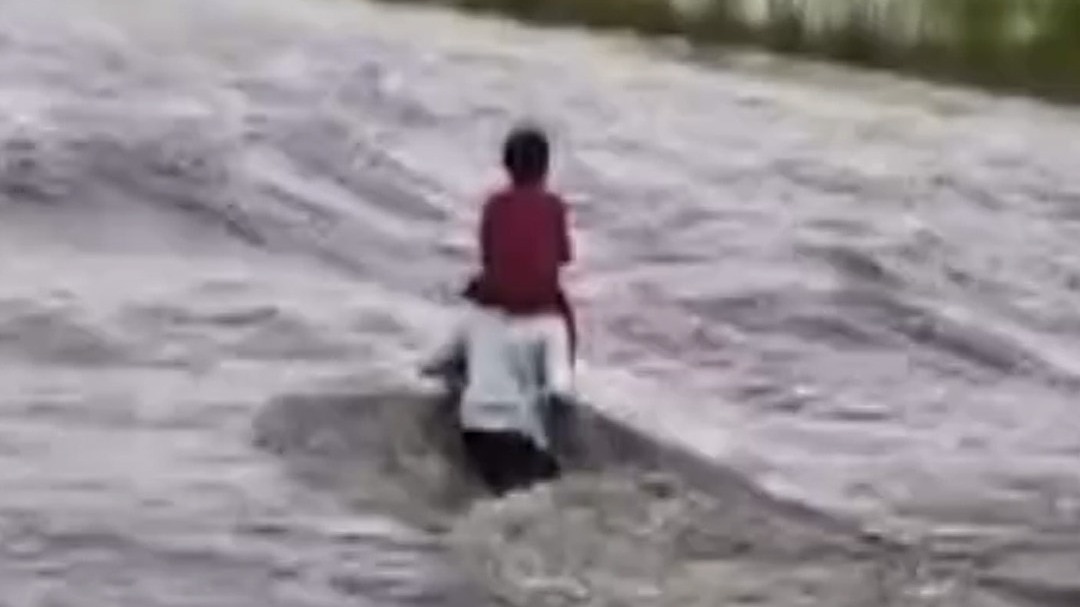 bagaha father carries son 