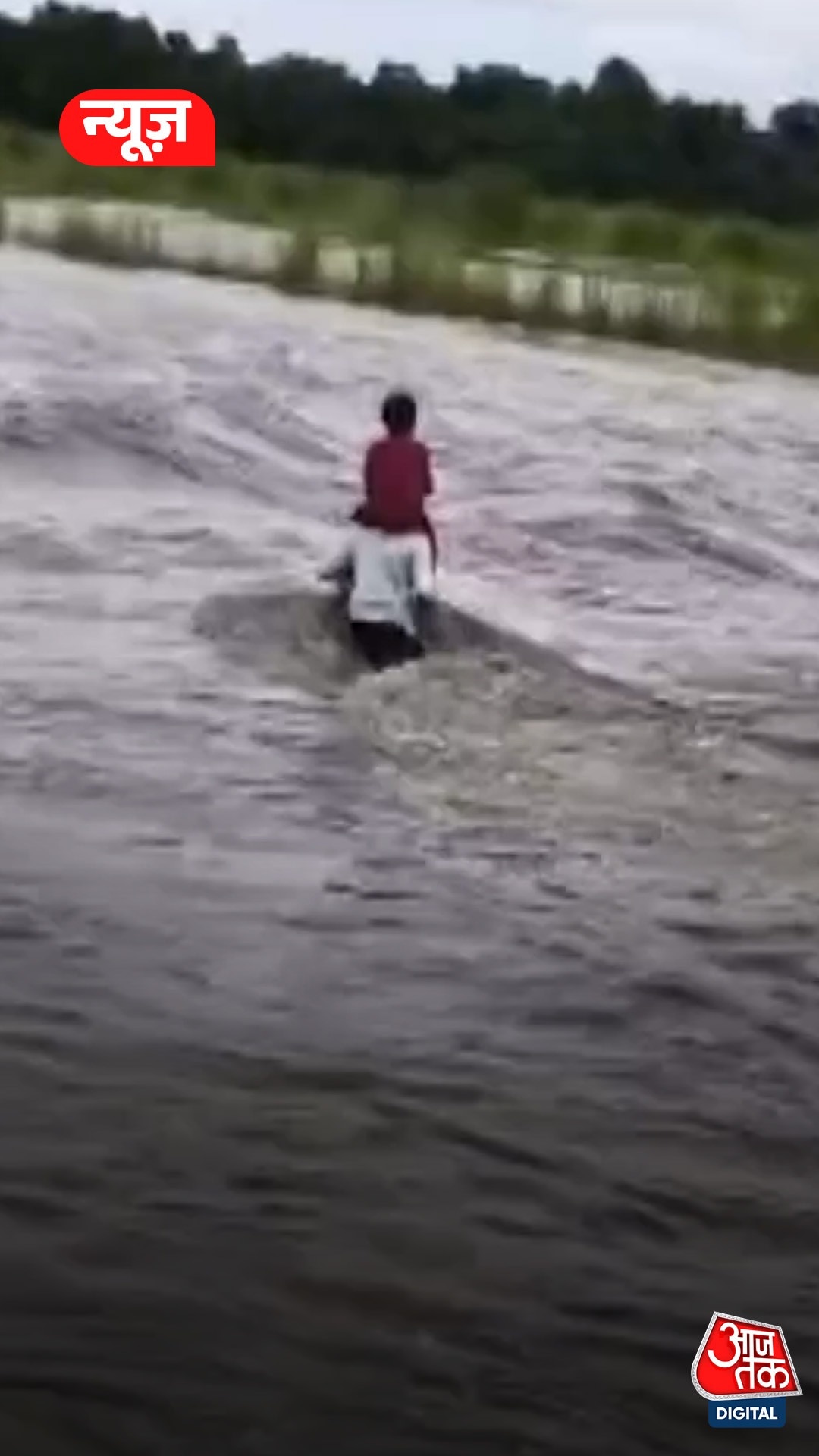 bagaha father carries son 