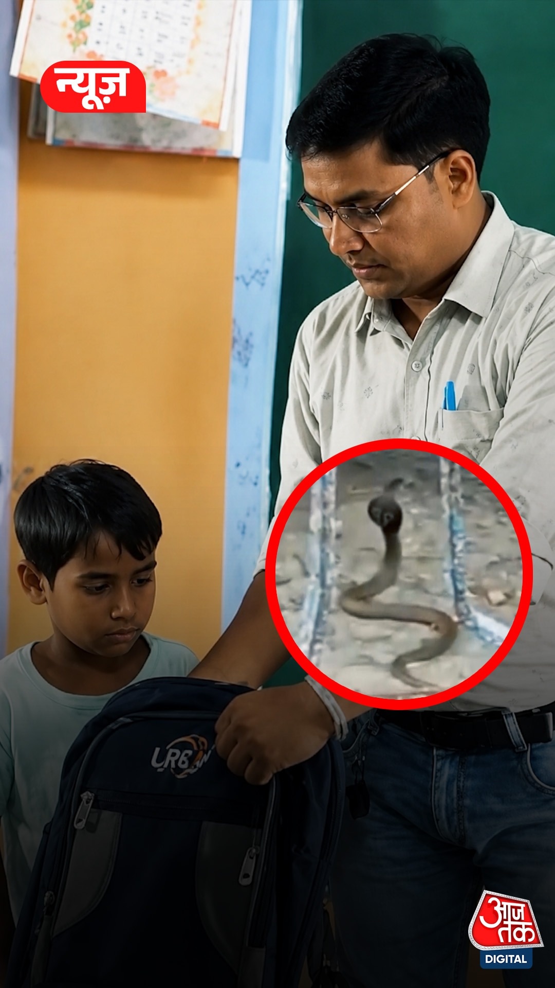 Snake found in school bag