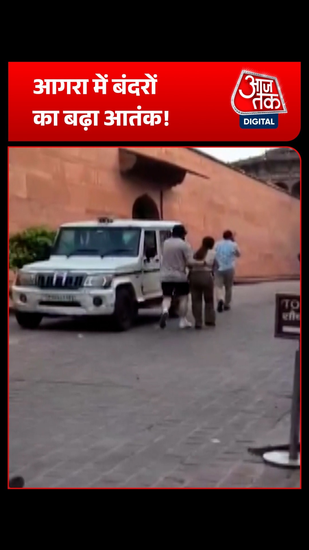 taj mahal monkey attack