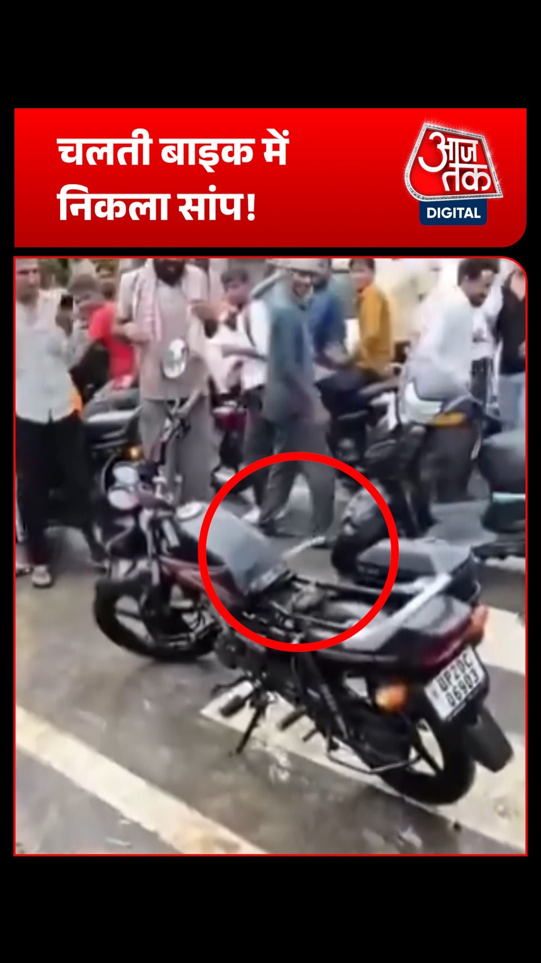 bijnor snake found inside