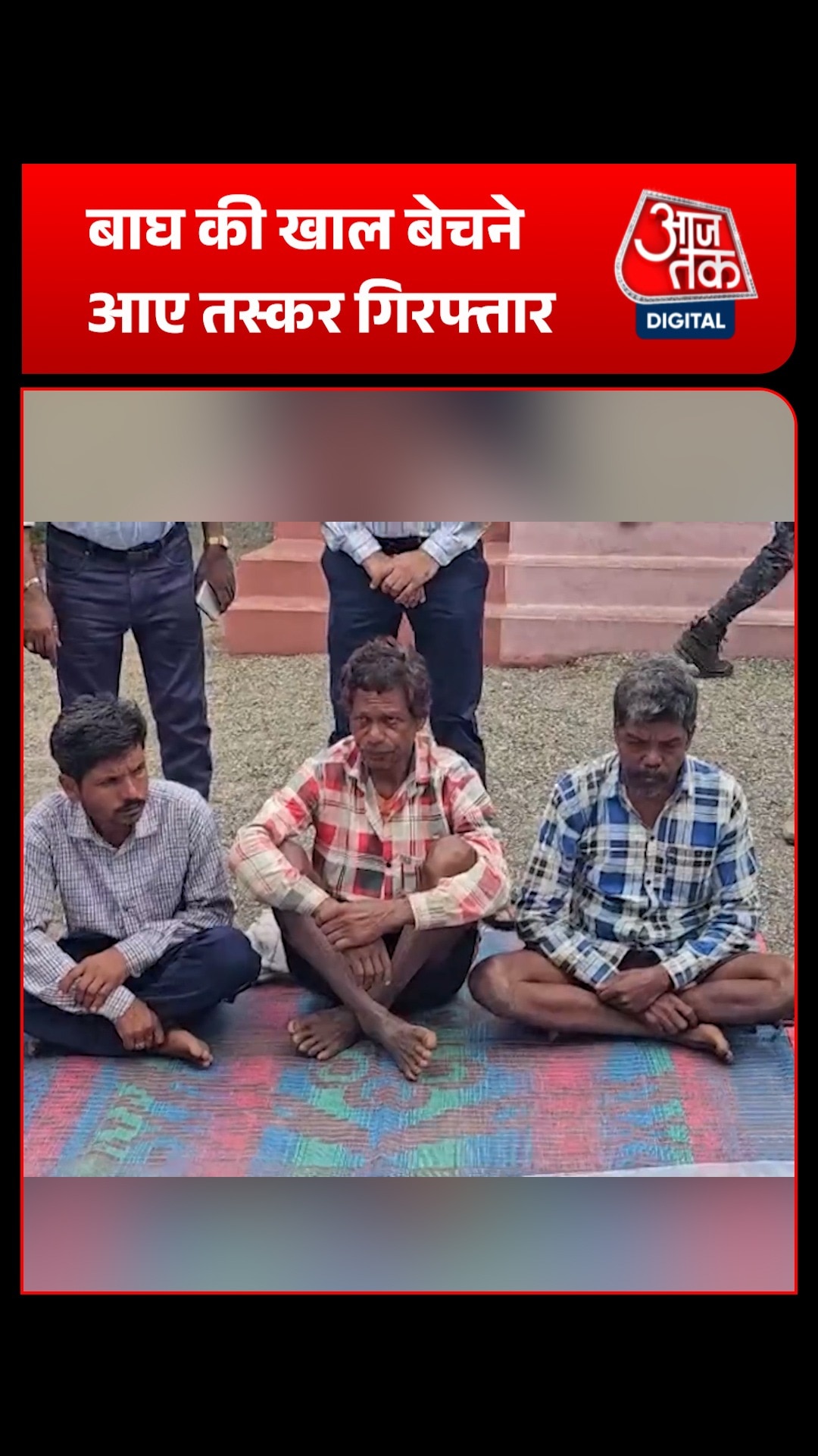छत्तीसगढ़ के सूरजपुर में वन विभाग को मिली बड़ी सफलता, बाघ की खाल संग तस्कर गिरफ्तार
