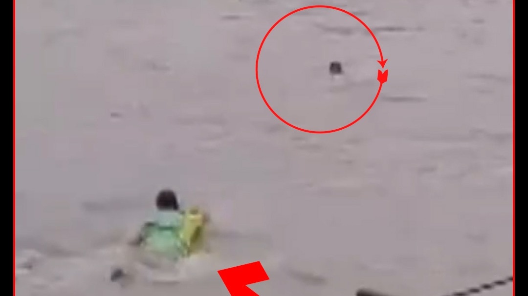 Haridwar sdrf jawan saves
