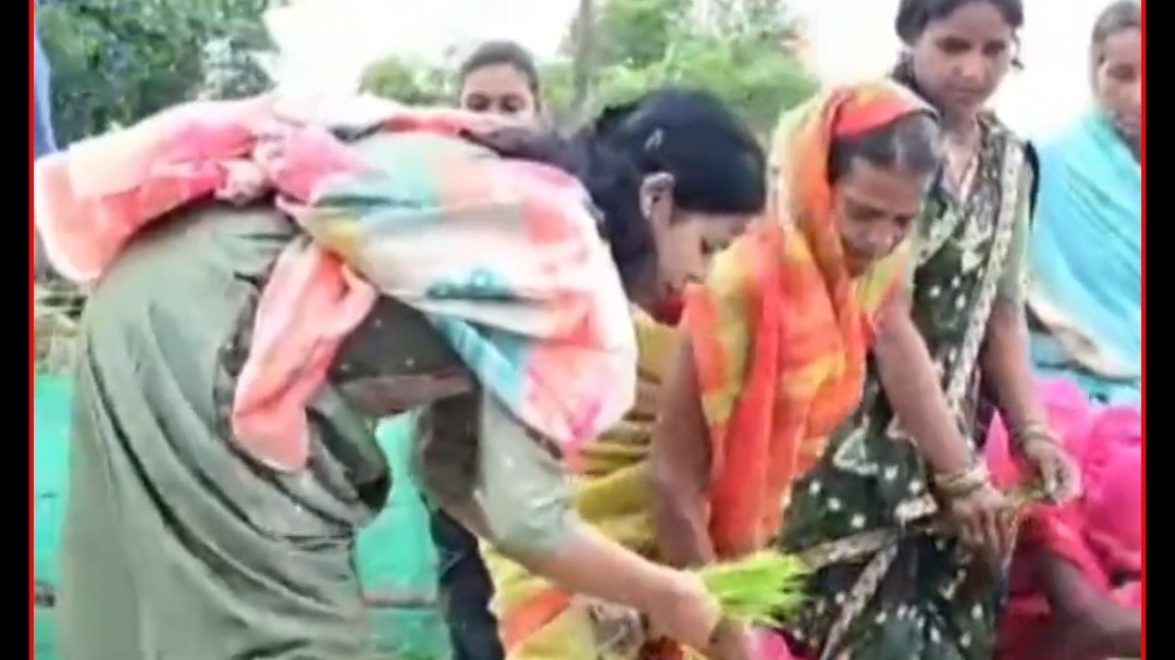 vaishali district magistrate