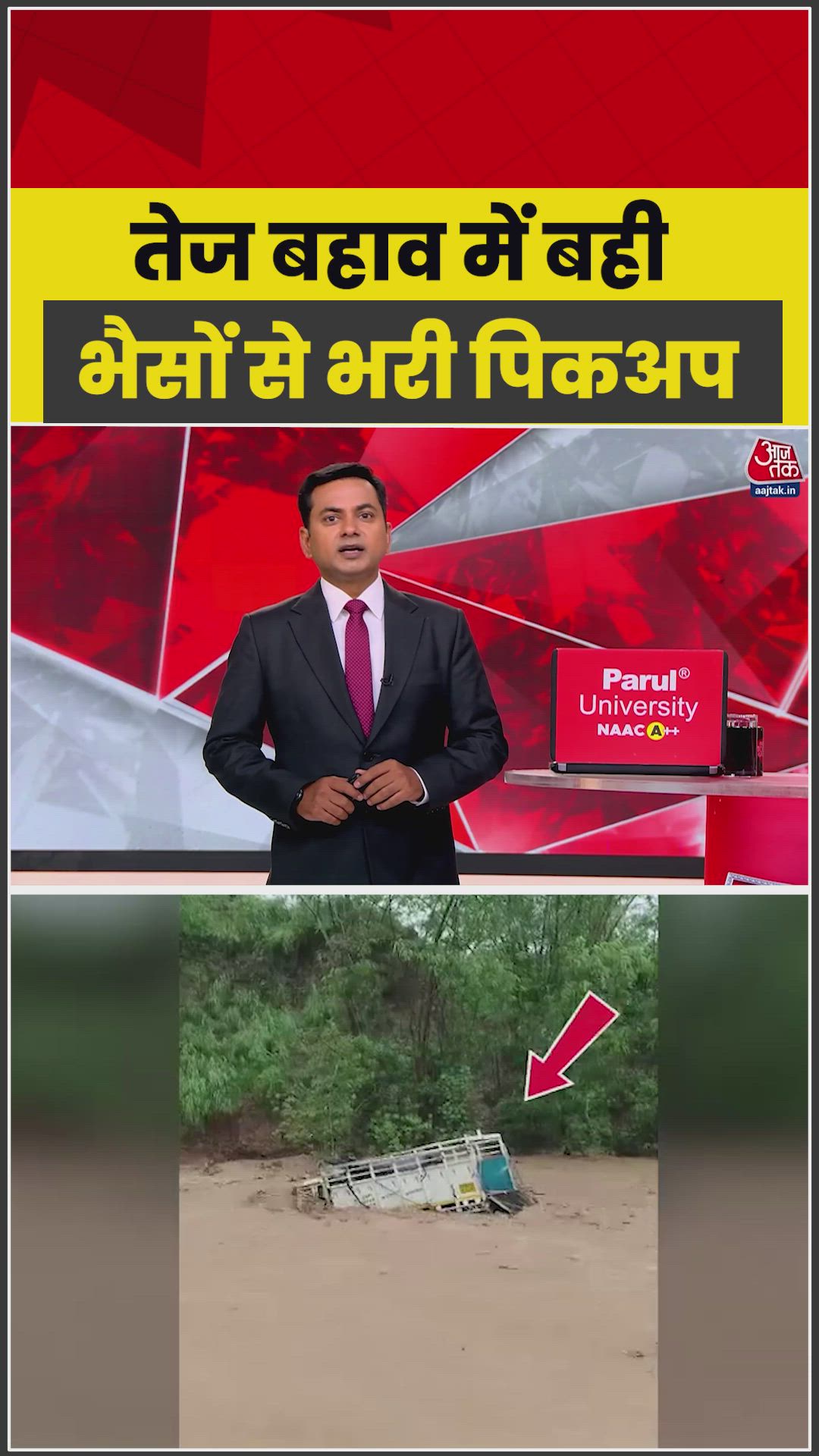 Mahindra pickup truck carrying buffaloes washed away in Mohali river.