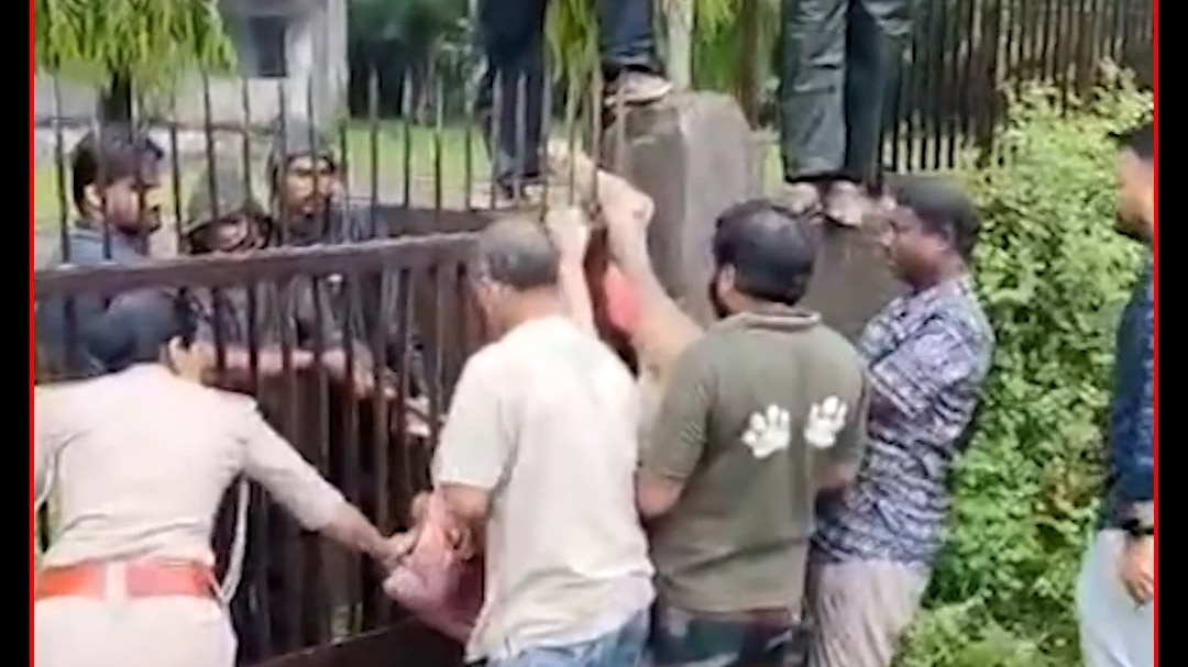 Lion Rescue 