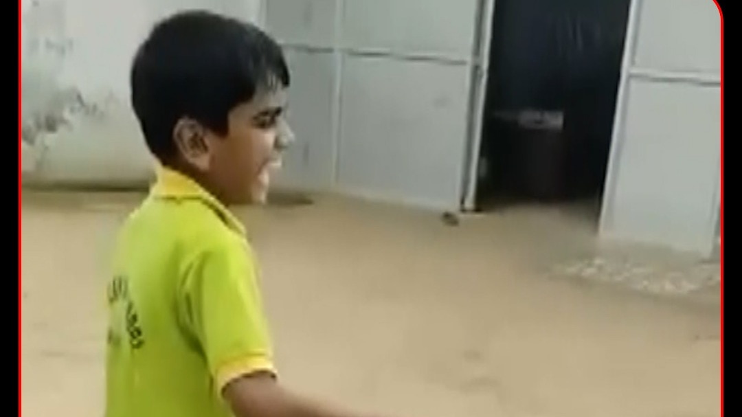 rajasthan viral snake video