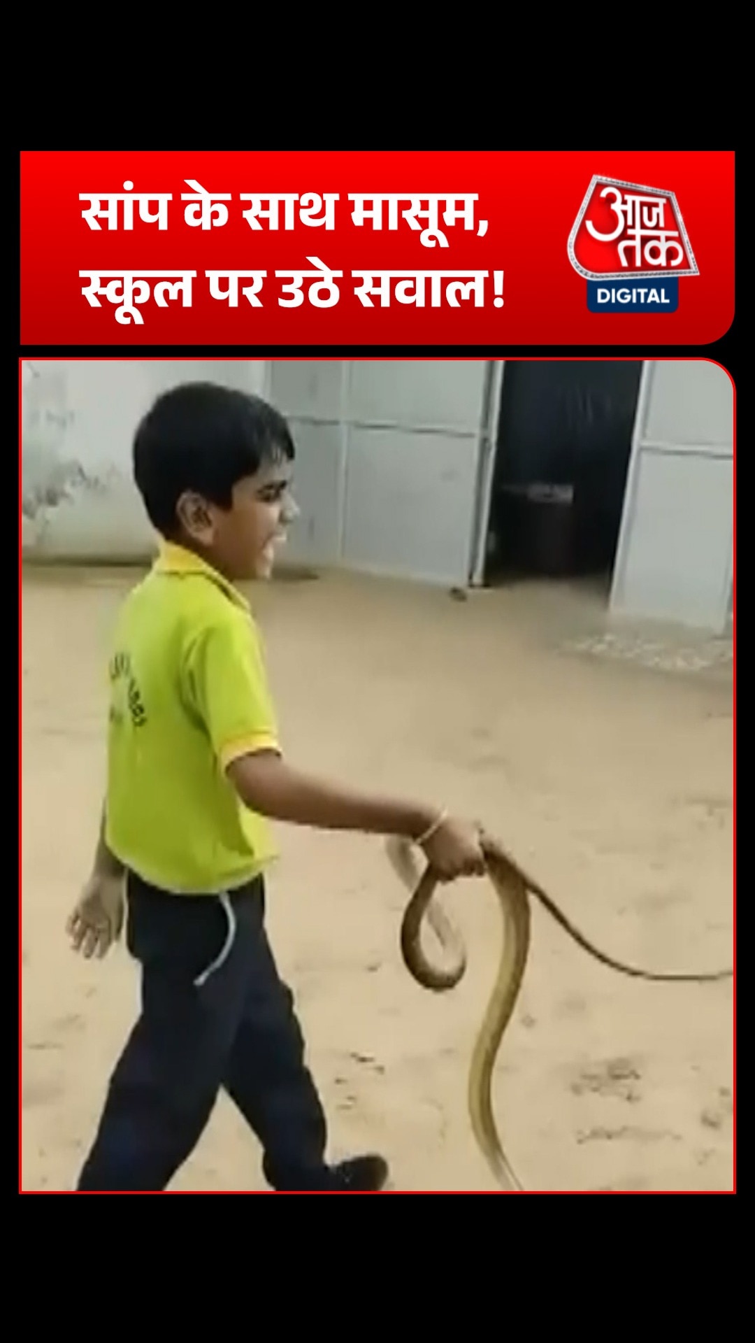 rajasthan viral snake video