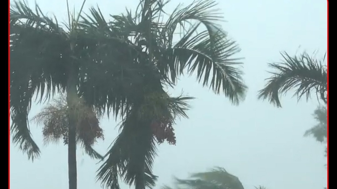 india monsoon rain alert