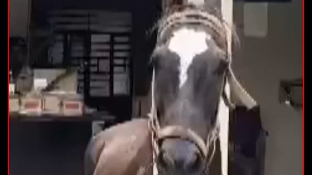 bihar motihari police