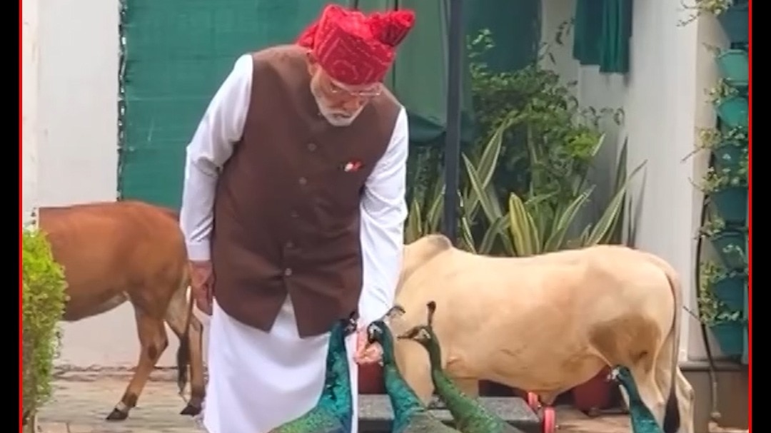 PM Modi 