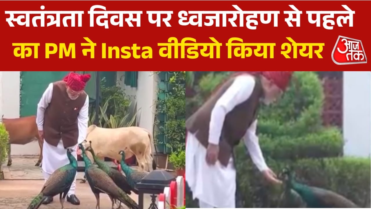 PM मोदी ने शेयर किया नया Insta वीडियो, गाय और मोर को खाना खिलाते आए नजर