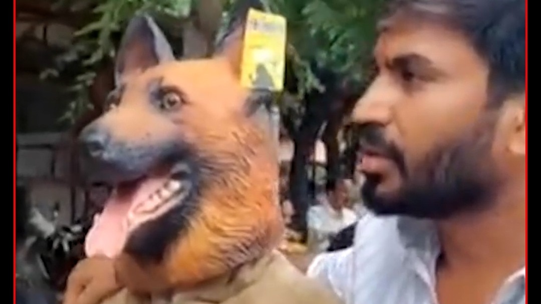 khandwa man wears dog mask
