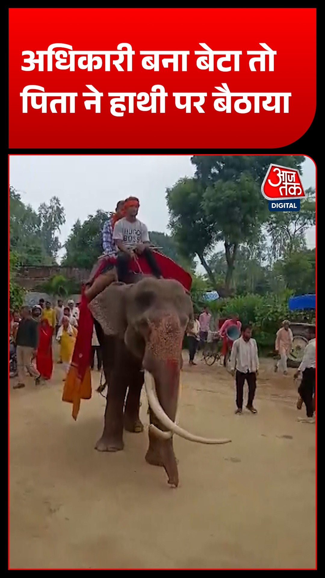 Elephant Welcome Video