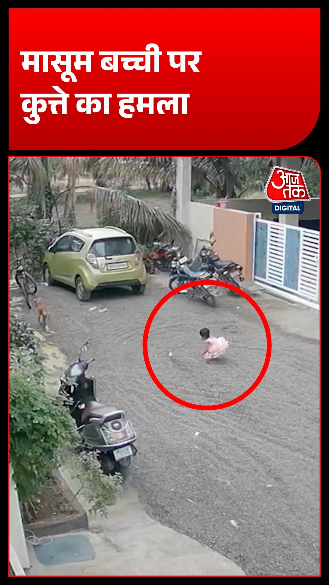 Dog Terror