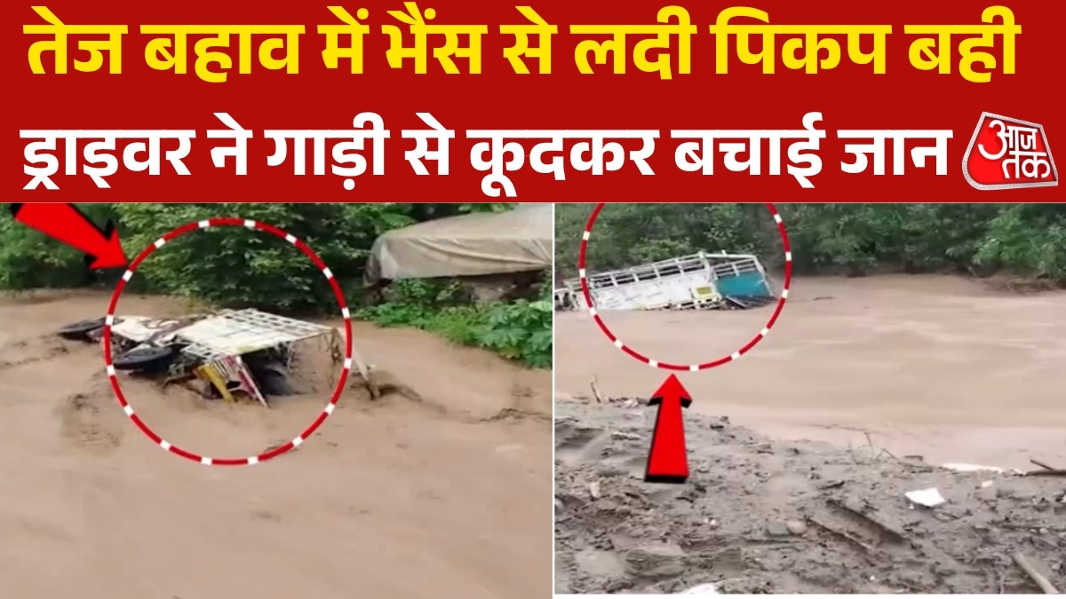 mahindra pick up washed away with buffalo in mohali video