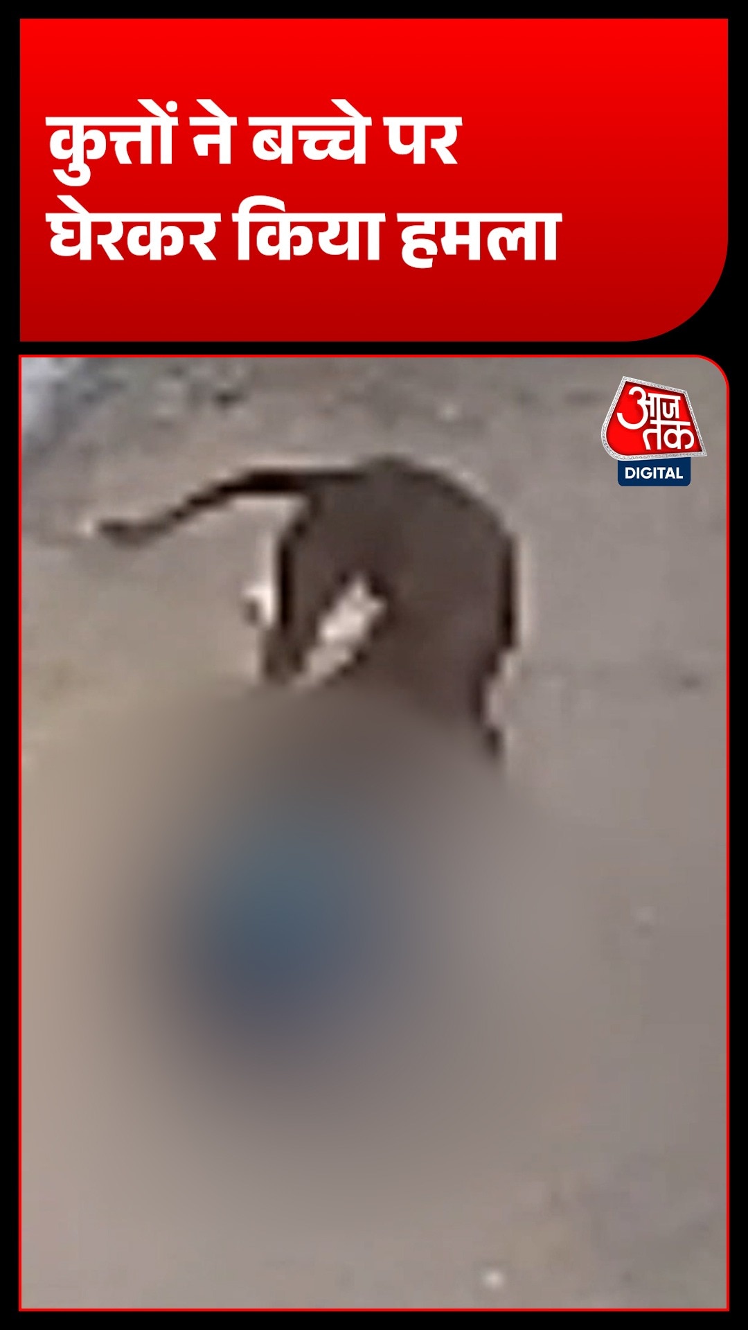 Bihar Dog Terror 