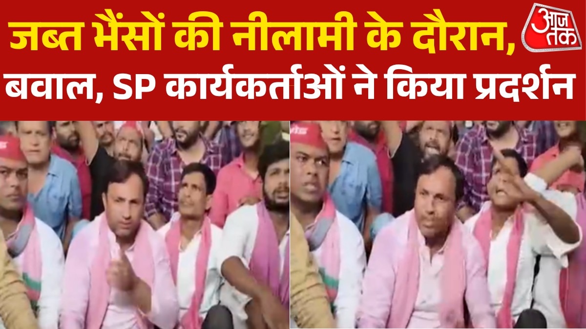 SP leaders protest against auction of buffaloes 
