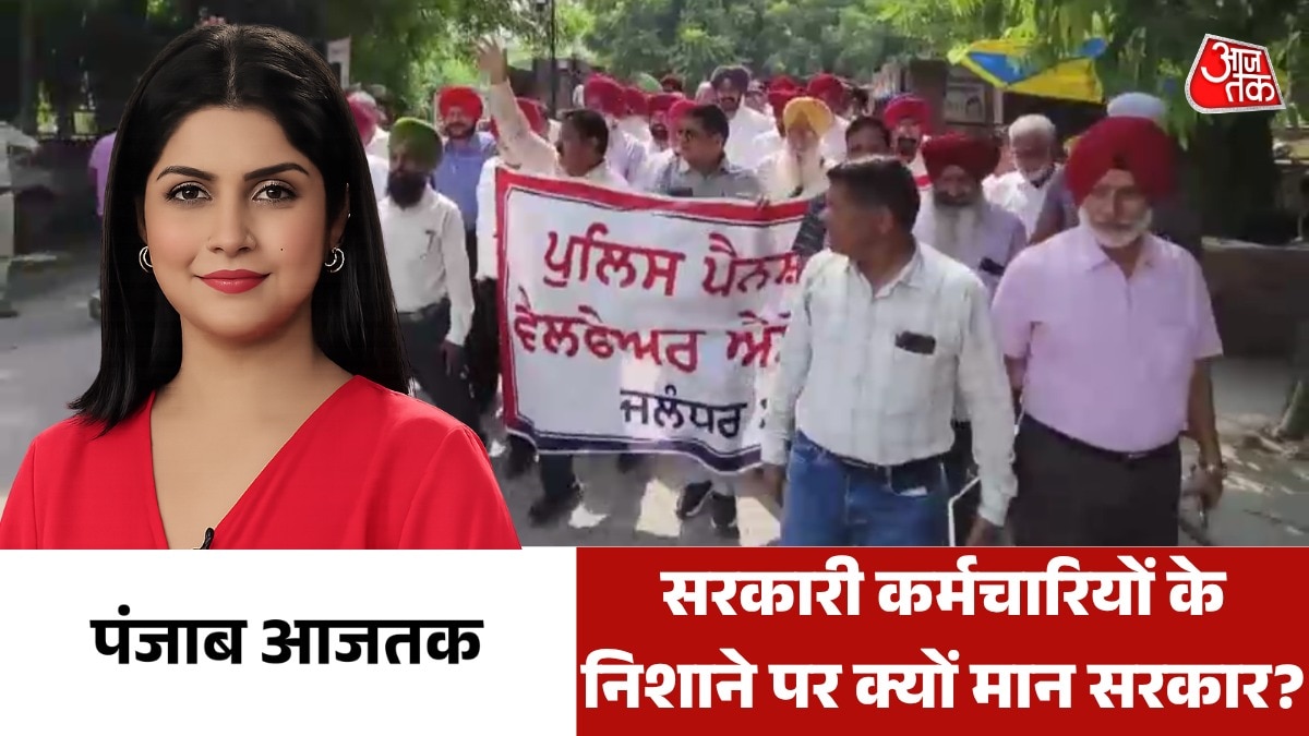 Punjab government employees strike 