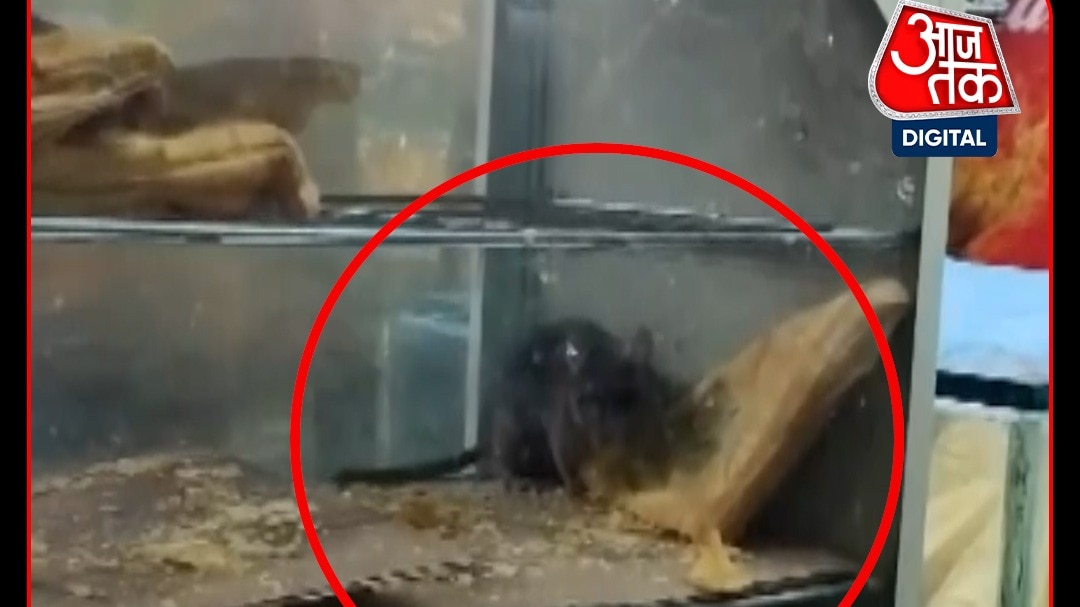surat railway station Rat