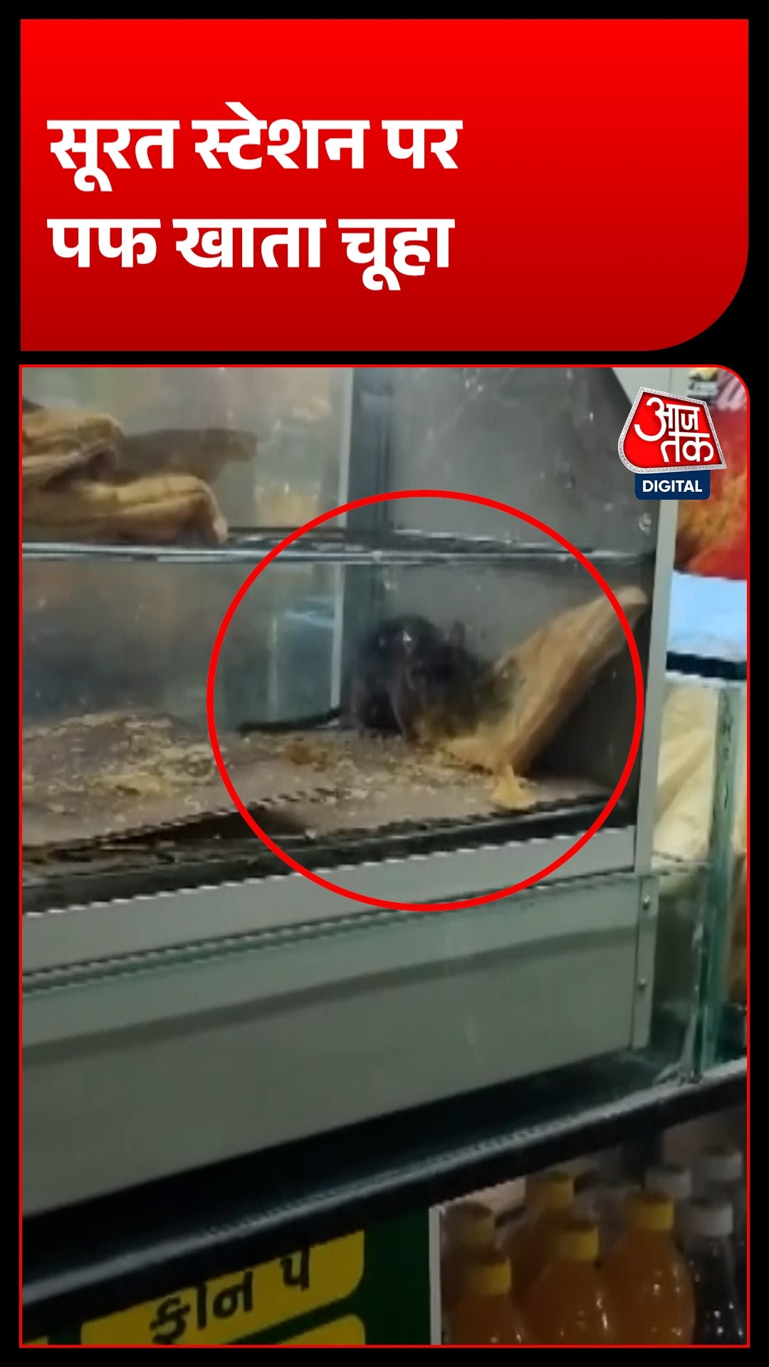  surat railway station Rat