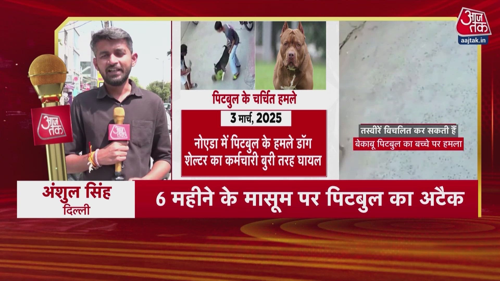 Sonipat pitbull dog attacks six month old infant in haryana.