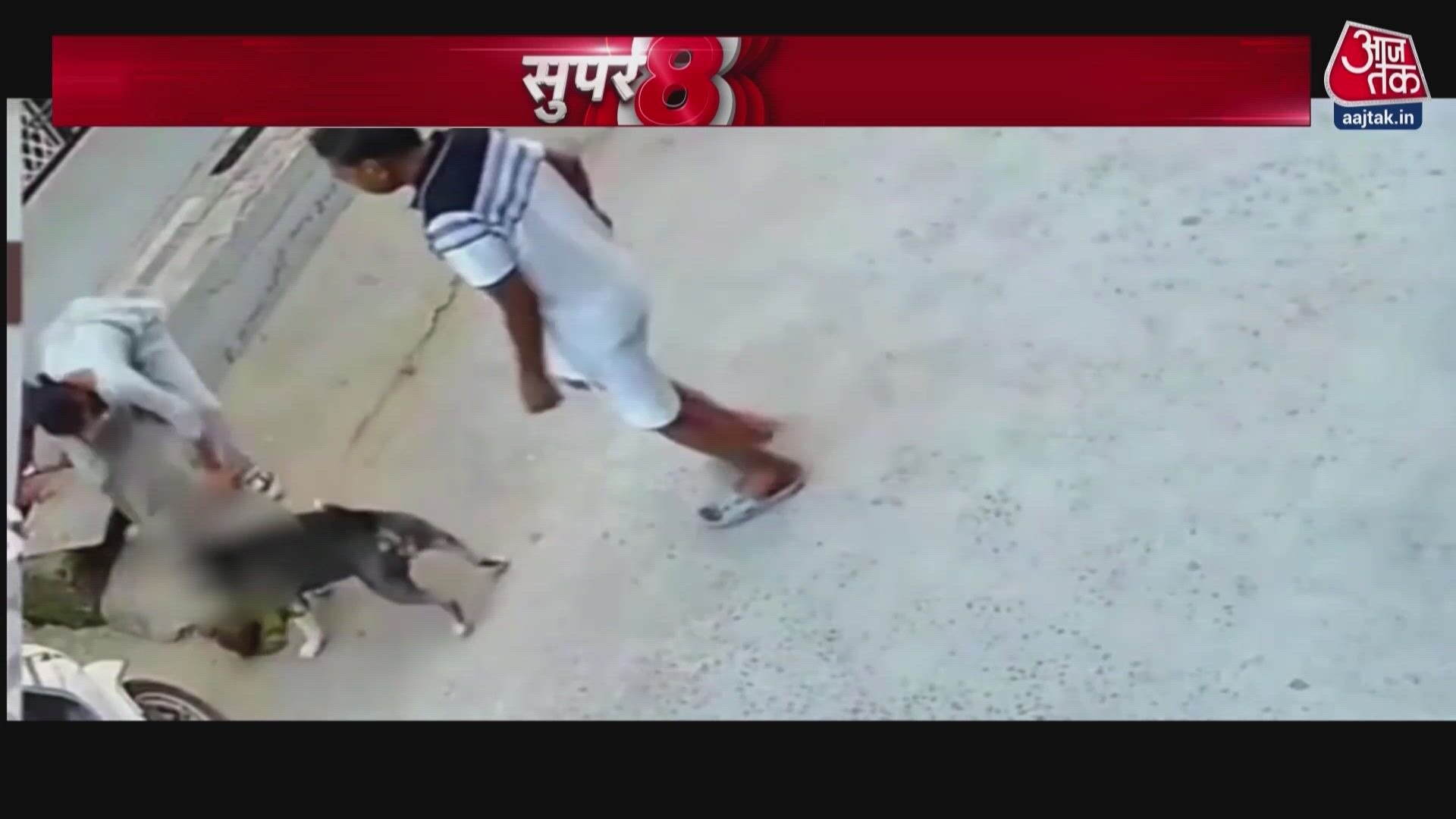 Pitbull attacks six month old baby in Sonipat Haryana.