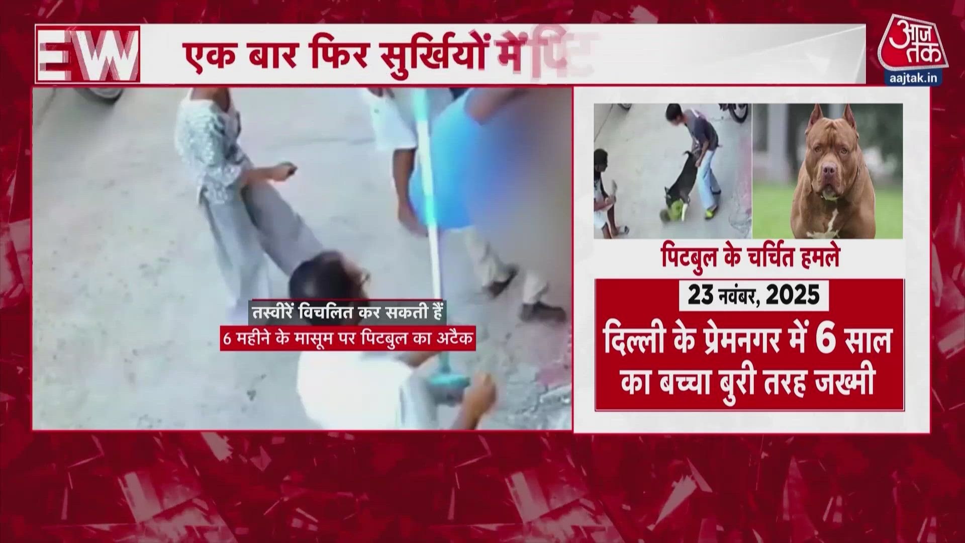 Pitbull dog attacks six month old baby in Haryana Sonipat.