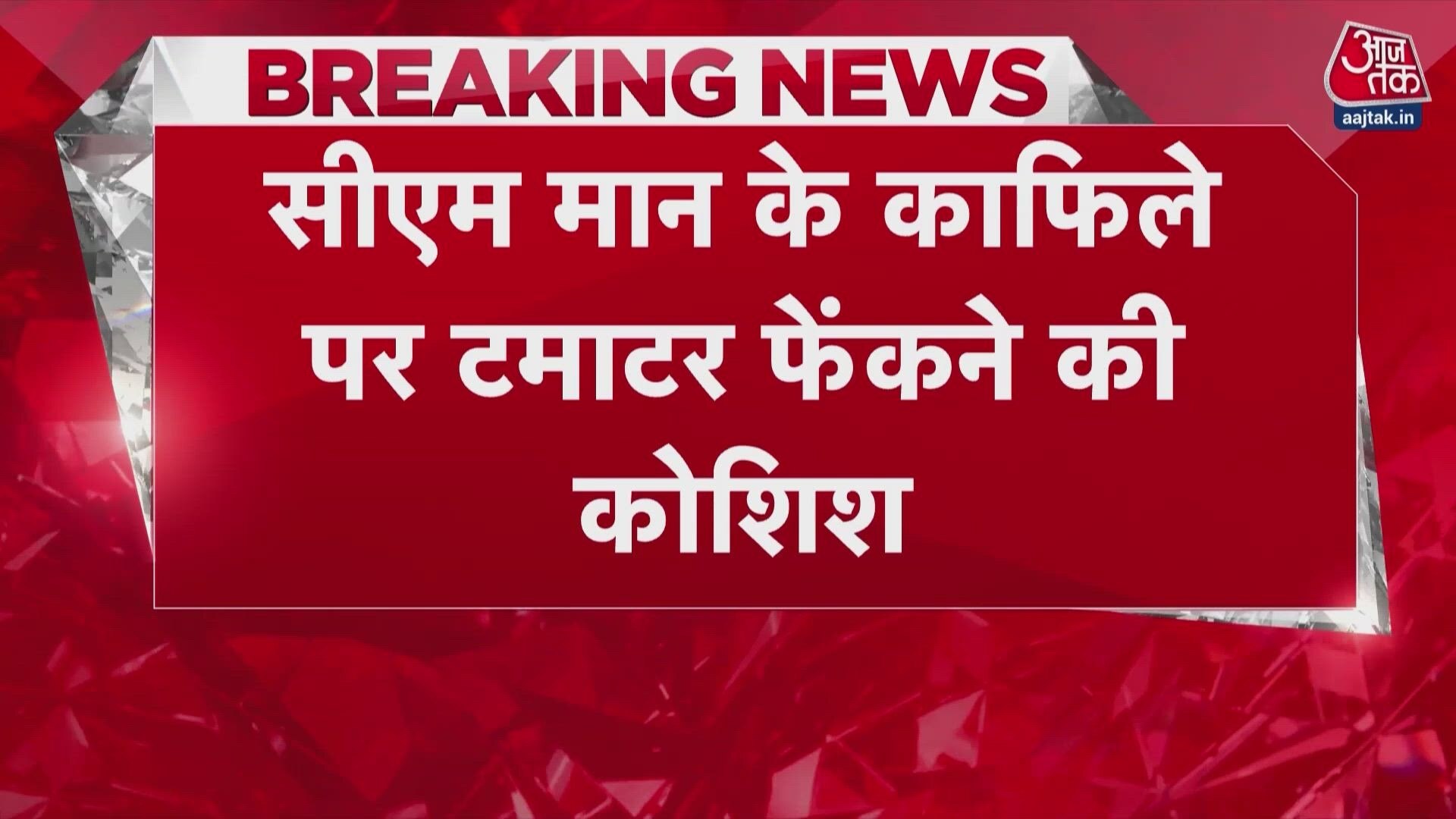 Ravneet Singh Bittu detained in Ludhiana after attempting to throw tomatoes at Punjab CM Bhagwant Mann's convoy.