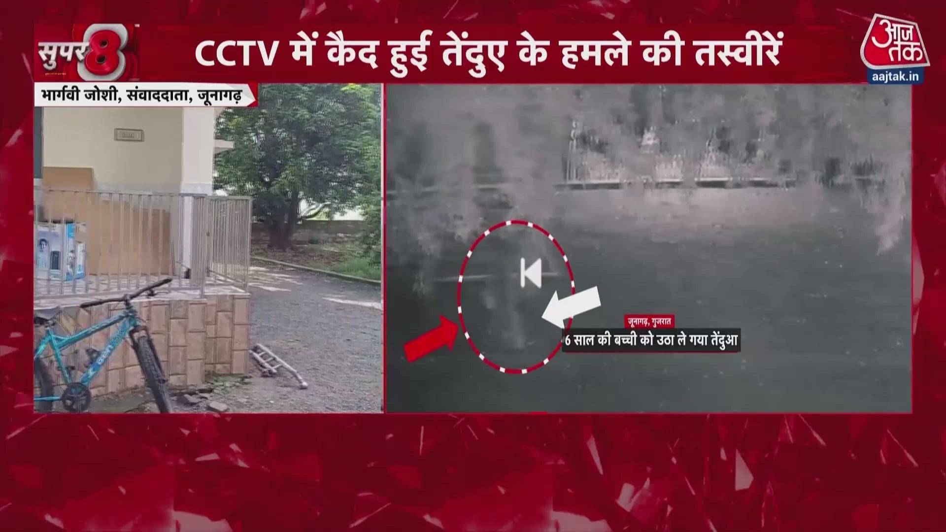 Leopard attacks and carries away six year old girl in Gujarat's Junagadh, CCTV captures incident.