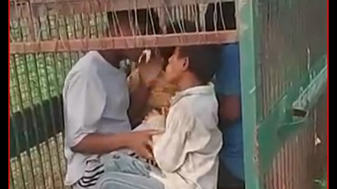 bijnor leopard trap