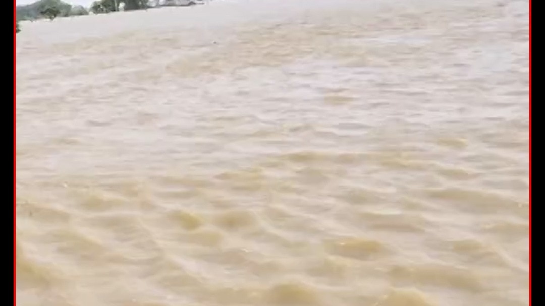 vaishali raghopur flood ganga water