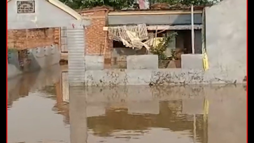 Maner Flood 