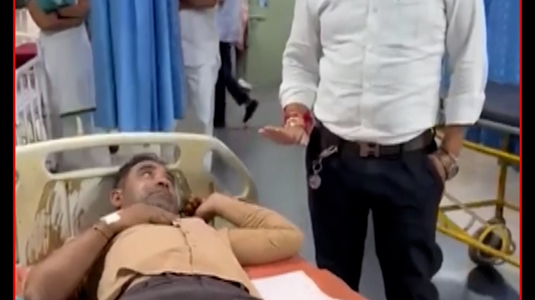 Snake Bite Surat 