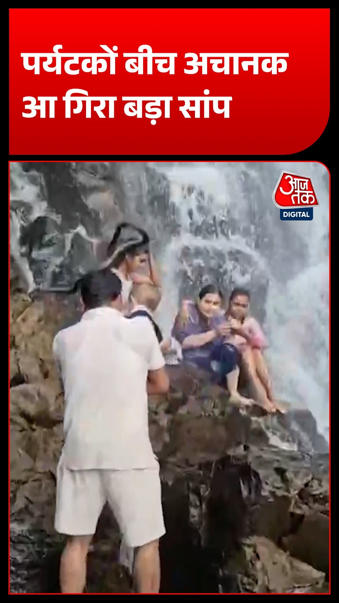 Amboli waterfall Maharashtra tourists snake falls 