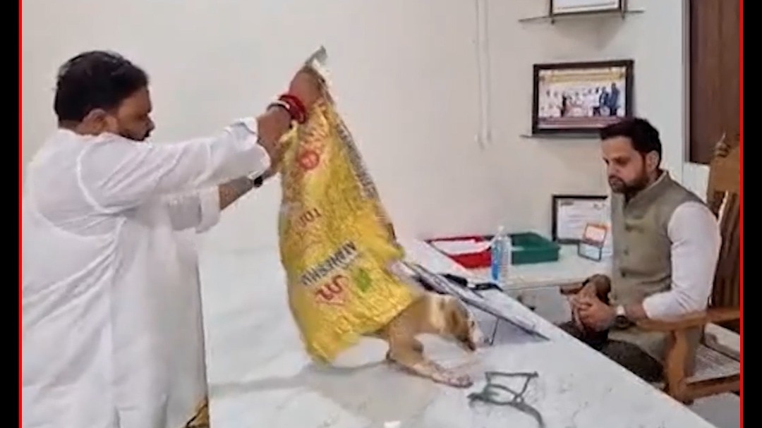 Nashik Niphad stray dog protest
