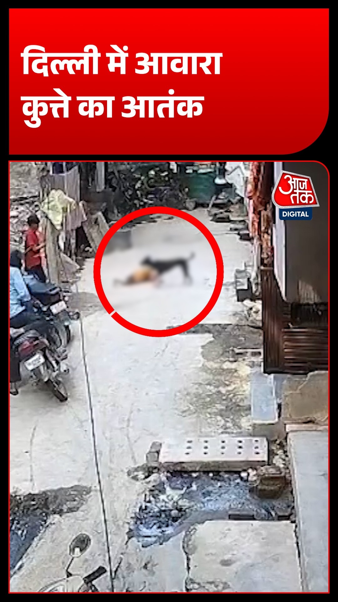 दिल्ली में 18 महीने के बच्चे पर आवारा कुत्ते का हमला, CCTV में कैद हुई पूरी घटना