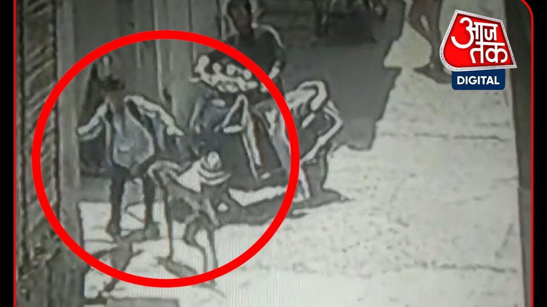 Maharashtra Beed Parli stray dog attacks