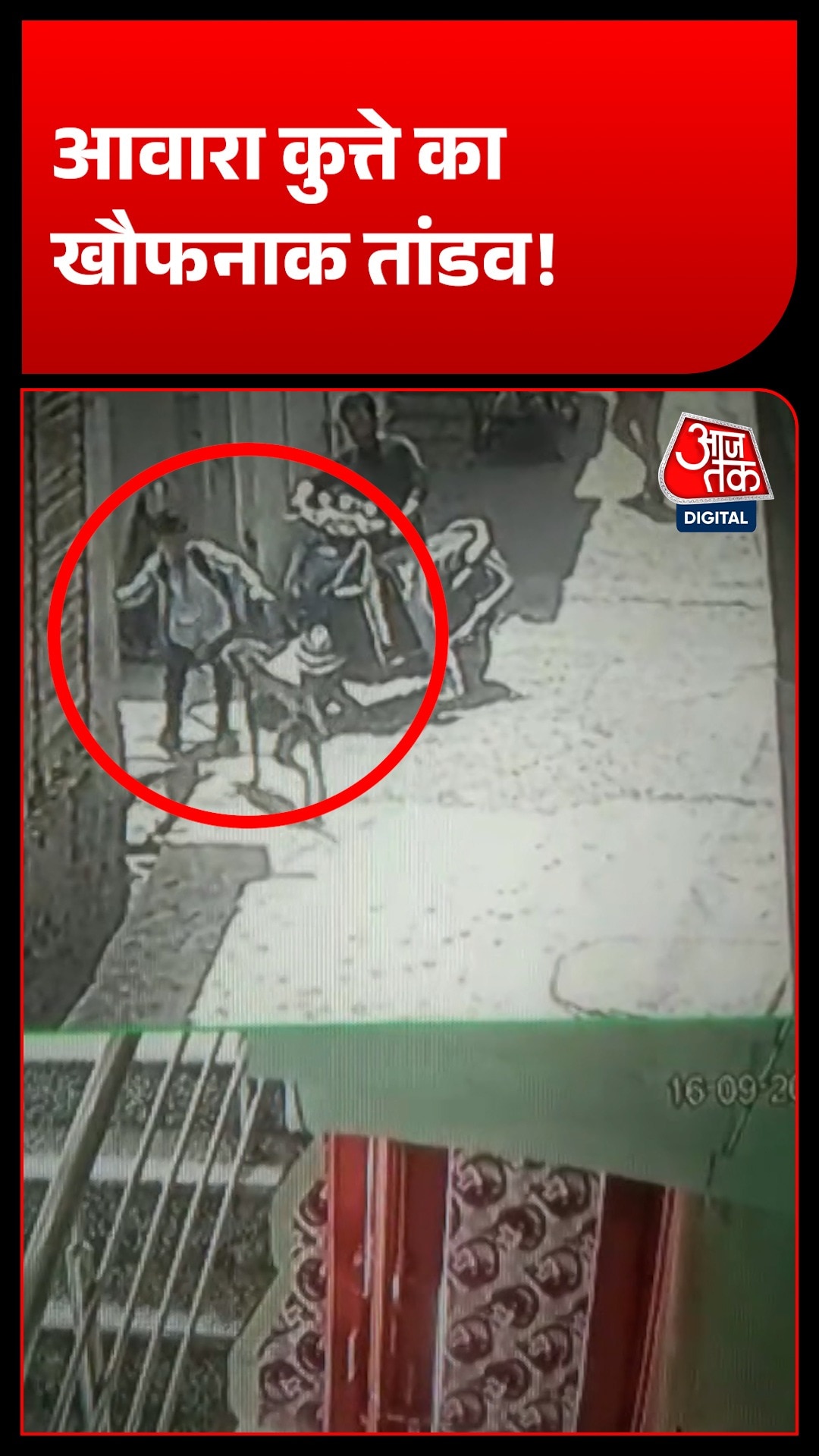 Maharashtra Beed Parli stray dog attacks