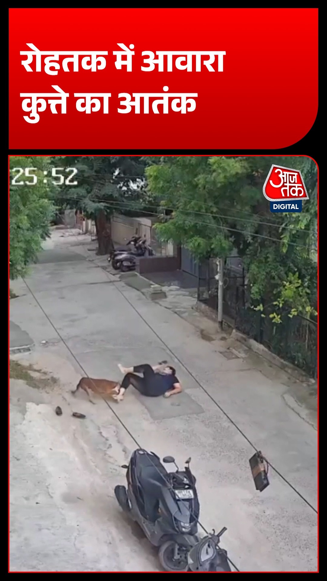 Rohtak Dog Terror 
