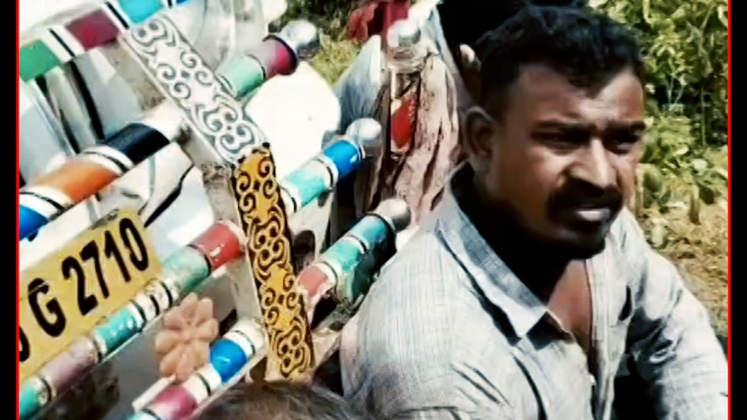 Guna Madhya Pradesh Cattle 