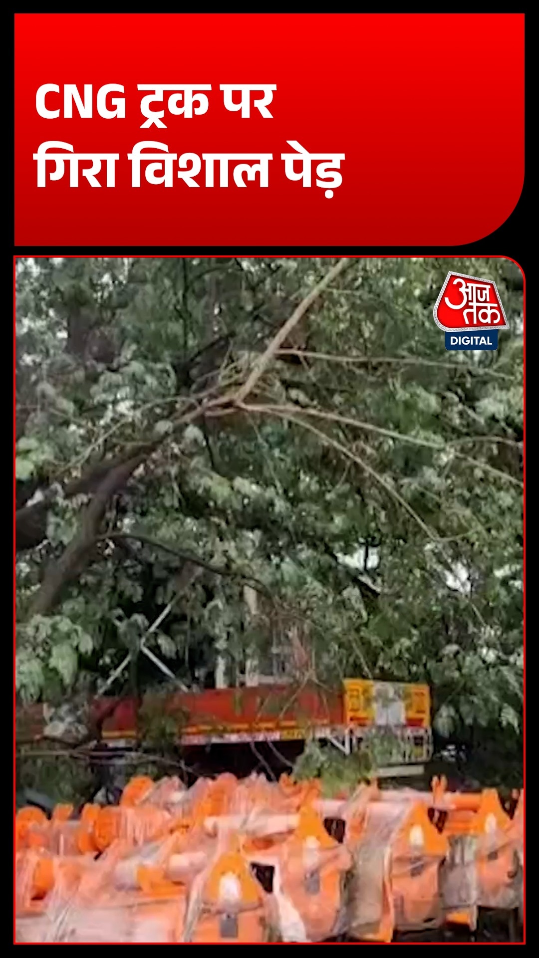 banda heavy rain tree falls on cng 