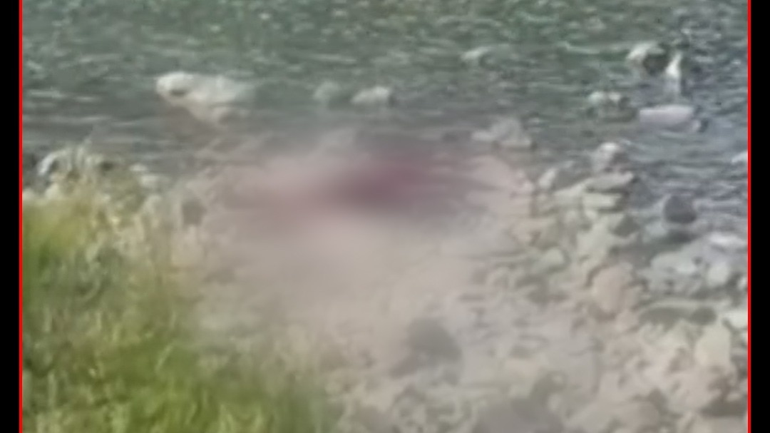 5 people died during sharaad