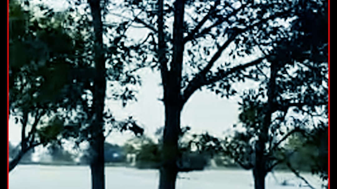 Gandak Flood